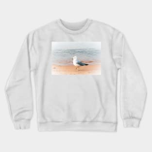 Seagull on the Beach at Okanagan Lake Crewneck Sweatshirt